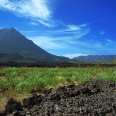L'Ardente L'Ardente