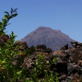 La Bouillonnante / La Bouillonnante (Santiago/Fogo/Boavista)